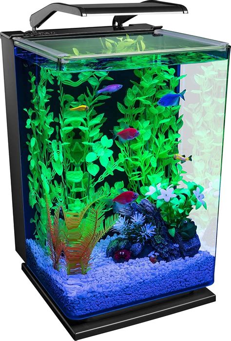 where to buy live fish|GloFish® Tanks, Lights & Kits & Fish .